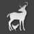 Stag hen transfers