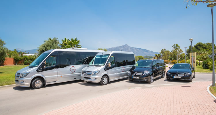 Deluxe Transfers